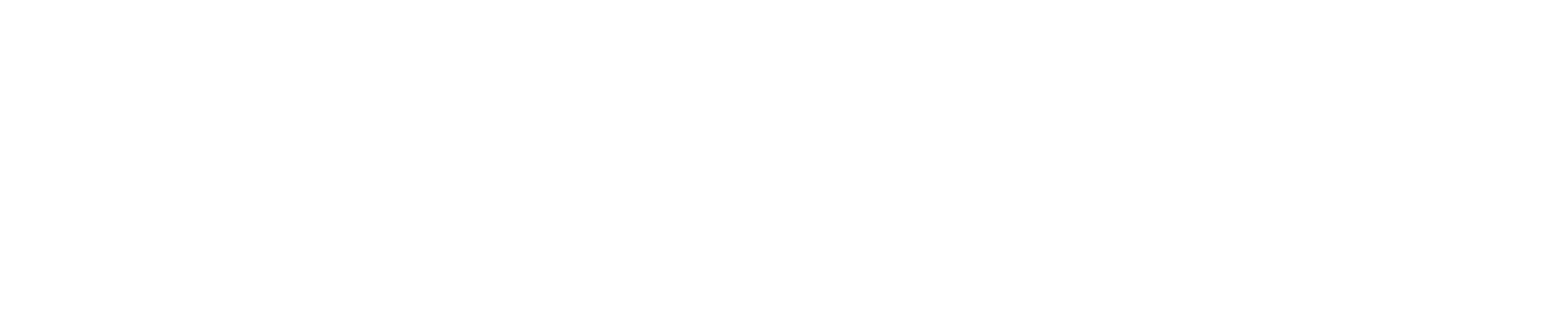 logo-primary-wh